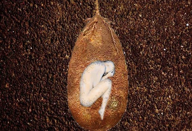 建筑工人挖出了一颗「恐龙巨蛋」,当专家检查后,却发现里面是比恐龙更