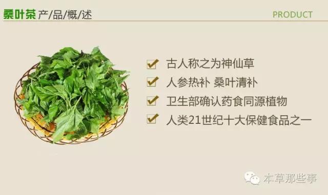 桑葉泡水的6大功效,特別是治療糖尿病