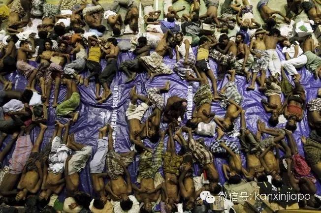 【700名兒童器官被販賣！？】在大馬和泰國邊界發現超過700名兒童的屍體，疑是販賣兒童器官！場面實在太殘忍了！