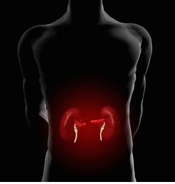 5个伤肾的坏习惯