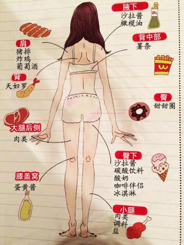 一张图解析所有部位肥胖来源!