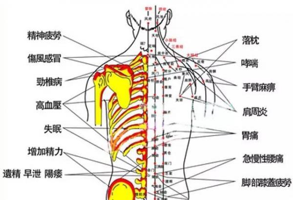 「拔罐」将瘀血吸出后.居然发现这麼惊天的事实!