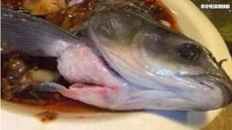 在家做魚,不要吃這2個部位