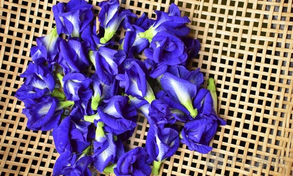 一杯至少有6种功效!但有4类人不能喝,会有「血崩」风险