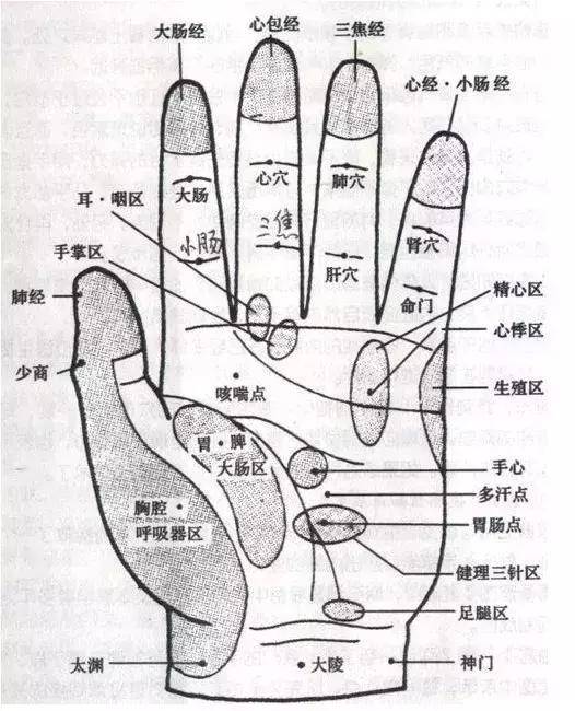 每天按摩小拇指50次,坚持一段时间,腰不疼,腿不酸了,连头发也乌黑了