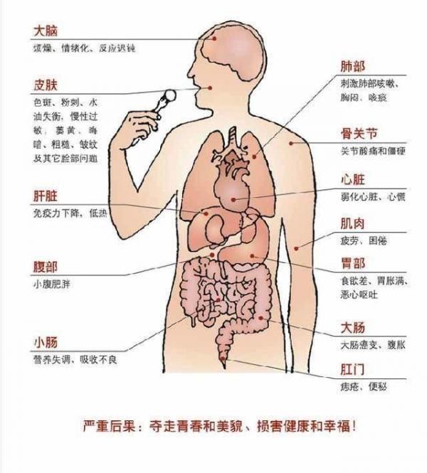 每天喝一杯「清腸」,以後放屁不臭,大便也順暢了!