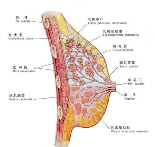 没想到15年后的「成果」竟是.把所有人都给吓呆了!