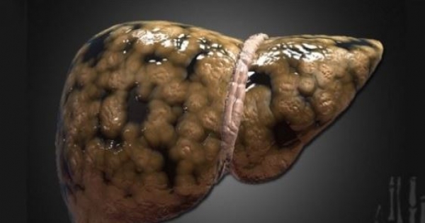 ads sponsored ads                             肝脏是我们人体的