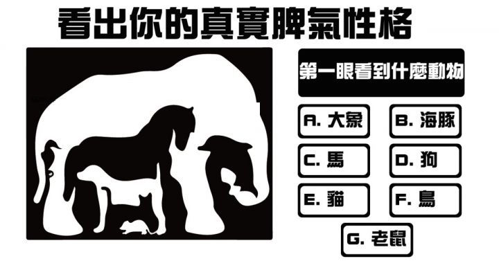 看出你的真实脾气性格!