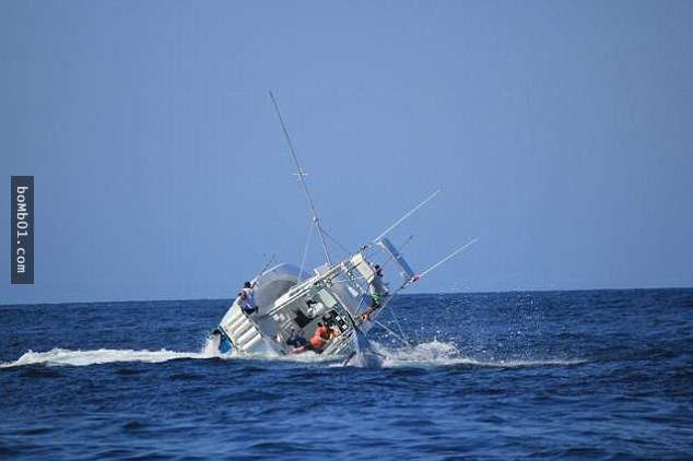 这群渔夫遇上生存意志超顽强的大旗鱼展开世纪决斗,最后旗鱼一个move