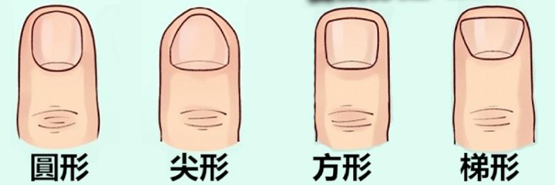 你的「指甲形狀」是哪一種？原來「這種形狀」的人比較聰明.....準到尖叫！