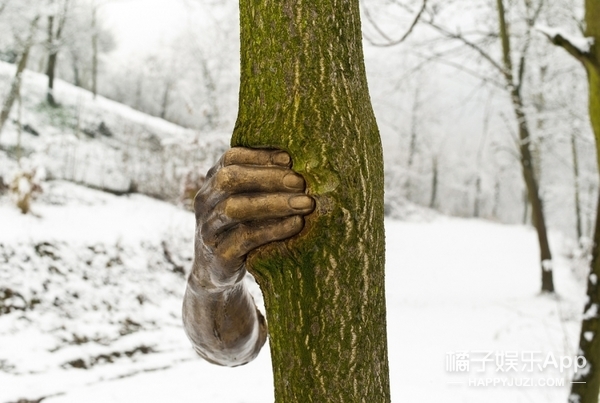 這隻手從1968年就開始「抓著」這棵樹不放，看到它「現在的樣子」的人都嚇到臉色發青叫不出聲來了！