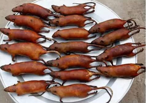 重口味慎入!世界各地奇葩食物大盘点!看你能忍住几个不恶心?