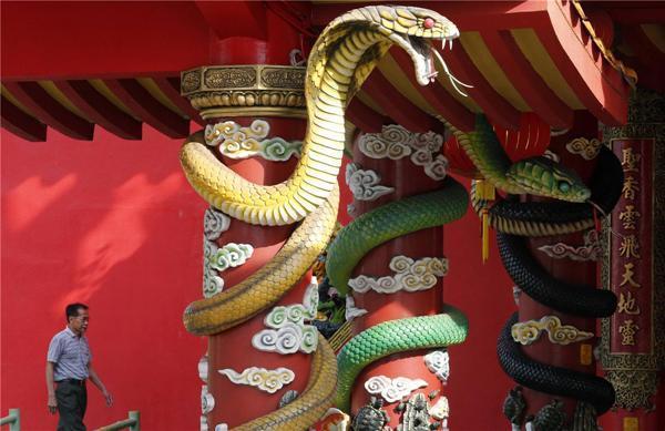 奇觀！世界唯一蛇廟，養蛇無數卻從不傷人！已有百年之久！