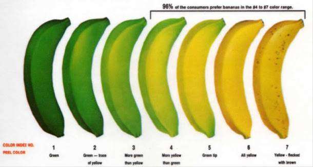 香蕉頭尾綠催熟致癌?一圖看懂兩頭綠香蕉