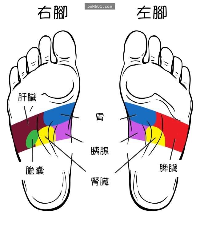 脚底要按摩这「21个部位」身体才会越来越健康,每天5分钟很快就会感受