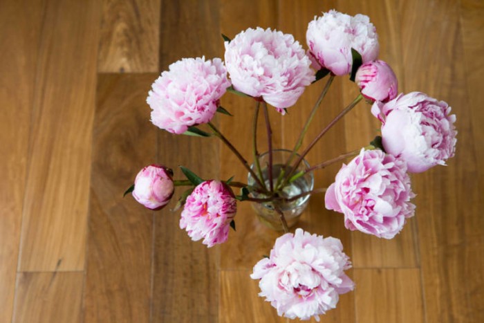15個花朵裝飾小技巧 讓家居多彩繽紛