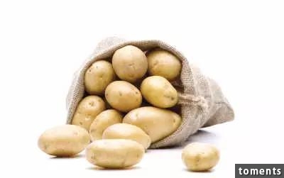馬鈴薯是日常生活中最好的藥，這樣吃竟有八大功效！不學就虧大了！