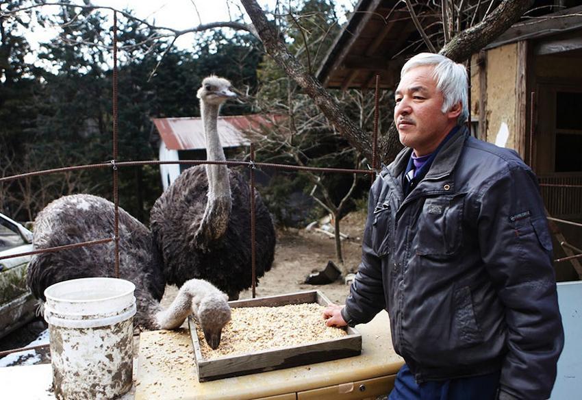 男子獨自留在日本福島核禁區照顧遺棄動物，他不放棄的堅持和無私的付出實在令人感動！