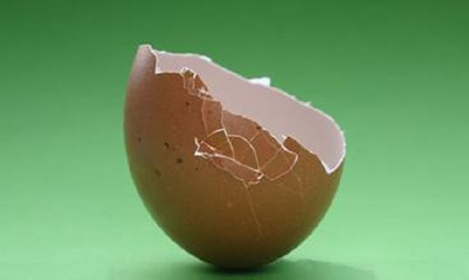 蛋殼不要再隨便扔掉了！它居然還有這8大用途，每一招都超有幫助的！