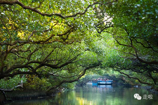 36個連台灣人都不知道的台灣旅遊夢幻景點！