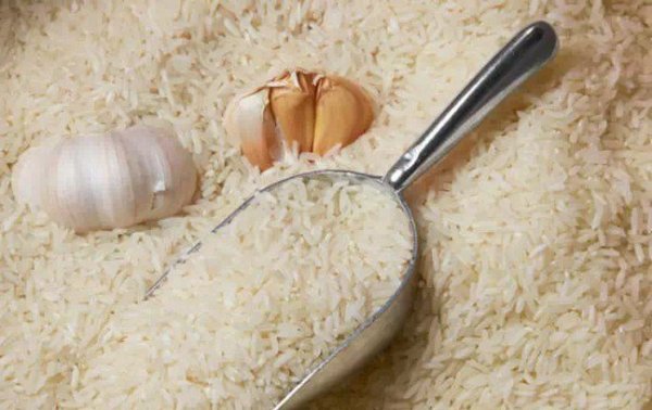 家裏的米總是一直生米蟲?教你天然又有效的驅蟲法，只要用紗布加上這個，就能把米蟲徹底驅趕！
