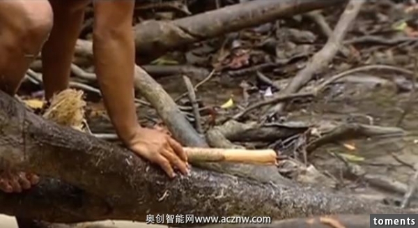 亞馬遜土著把一種樹幹敲爛放入水中之後神奇的一幕就出現了