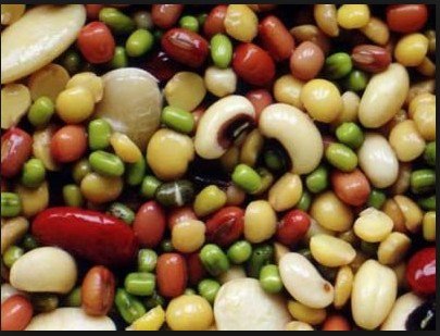 冬吃6種豆類補脾益胃功效佳