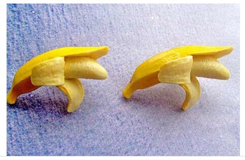 化廢為寶：香蕉皮不為人知的7個神奇妙用