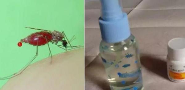 天氣熱了，趕快做一瓶高效無毒的驅蚊水，而蚊子非常討厭這個味道，噴在身上