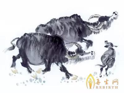 2016猴年喜氣洋洋，肖牛事業愛情雙豐收！