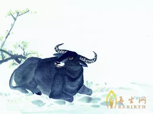 2016猴年喜氣洋洋，肖牛事業愛情雙豐收！