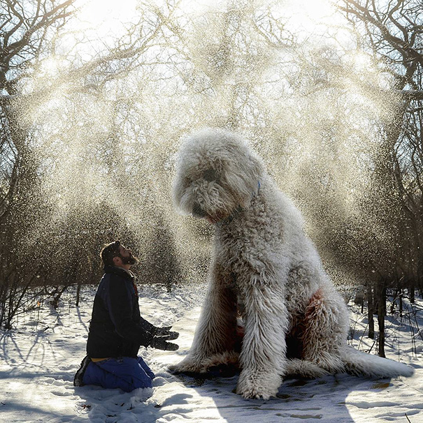 這名攝影師曾經藥物纏身，但他現在拍的「與巨大愛犬一同冒險」夢幻照片會讓愛狗人士都愛慘！