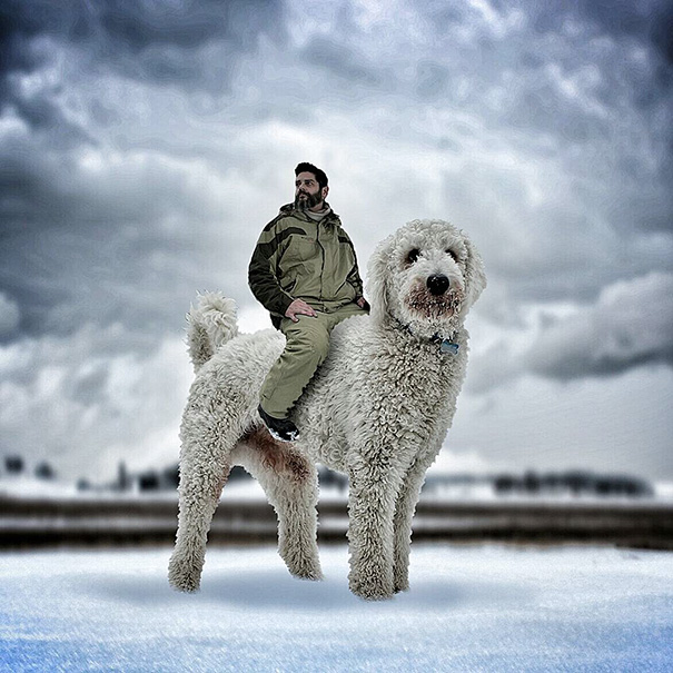 這名攝影師曾經藥物纏身，但他現在拍的「與巨大愛犬一同冒險」夢幻照片會讓愛狗人士都愛慘！