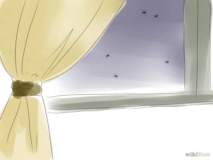 教你幾招，蚊子一個夏天不敢進你的房間！
