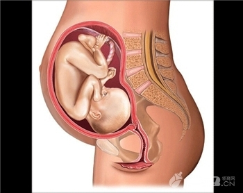胎兒真的會在子宮內哭 懷孕須知孕期胎兒最害怕的九件事
