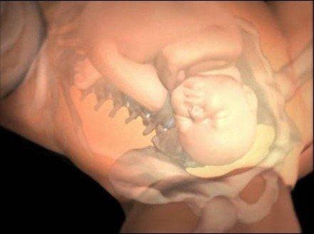 400年前母子木乃伊出土！生產子宮破裂死亡，胎兒卡產道，解剖後竟看到……！