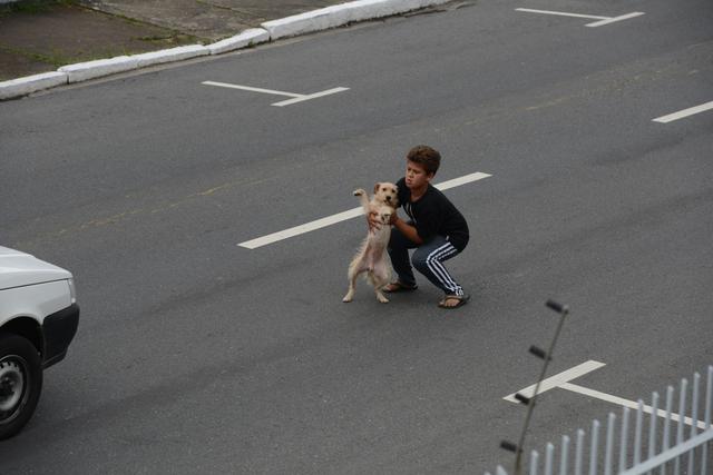 小狗被車撞到馬路中央嚇得發抖，只有一個小男孩願意幫它