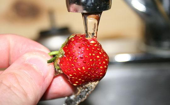 美國專家發布最骯髒果蔬草莓再成榜首，最乾淨果蔬令人意外！