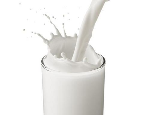 Image result for 牛奶