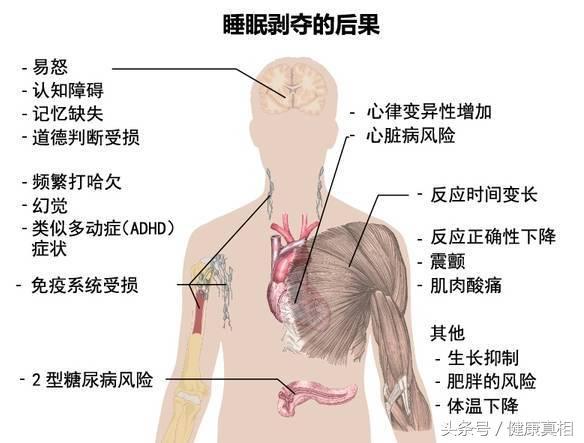 世界上最好的三種「長壽藥」，竟然都是不花錢的