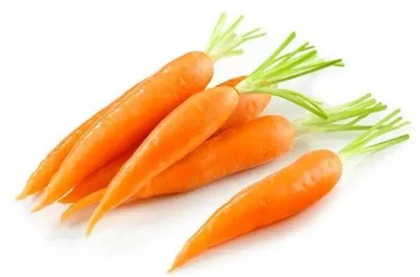 日本研究所報告出爐！ 煮熟的胡蘿蔔竟然有這麽多神奇功效，而我竟然只知道一個……