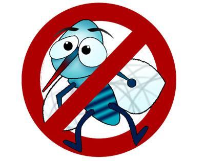 這種蚊香用了會中毒，蚊香蚊香液該如何選？