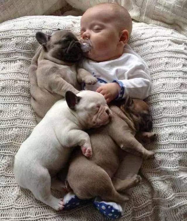 一組寶寶們可愛的睡姿送給大家，笑死了！