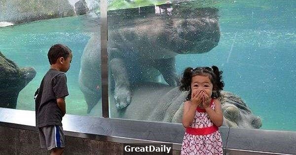 這種東西怎麼可以出現在動物園裡啦！21超傻眼「兒童不宜」的照片...看得我太害羞了啦...！