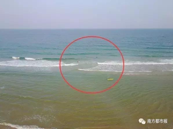 致命！海邊遇到它快避開！一天8游客溺水，4死1失蹤！
