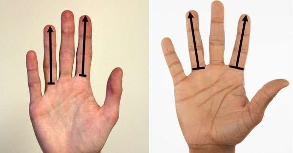 科學家發現男生的手指長度會看出他是一個「怎樣的人」！原來個性溫柔的男人手指都長這樣...