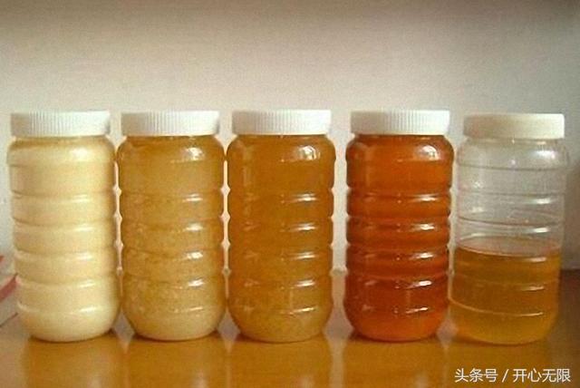 假蜂蜜別再喝了！68歲良心老蜂農教你「一杯清水」鑑別真假蜂蜜