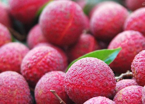這7種水果可以幫助腎結石快速排出？快分享給有用的人