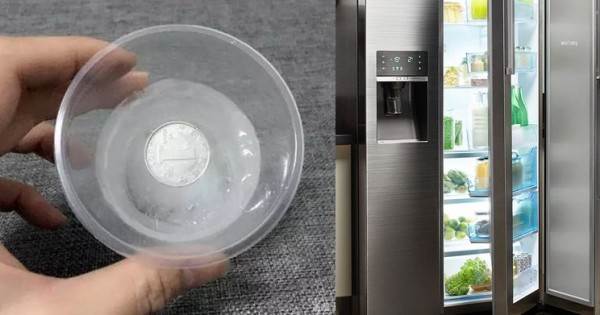 Image result for 為什麼出遠門要在冰箱裡放硬幣？